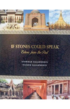 if stones could speak